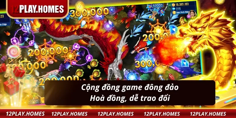 Cộng đồng cần thủ - Dễ tiếp xúc trò chuyện