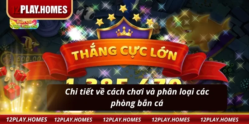 Cách chơi và phân loại phòng chơi game bắn cá tiểu tiên cá