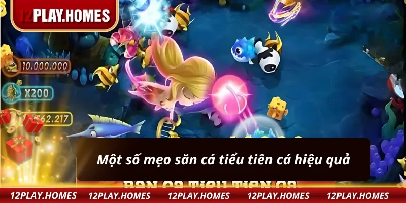 Những mẹo bắn cá tiểu tiên cá hữu ích