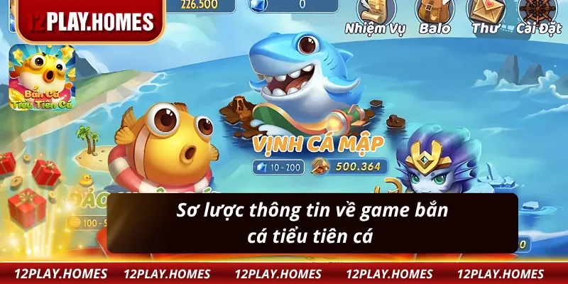 Đôi nét cơ bản về bắn cá tiểu tiên cá tại 12Play