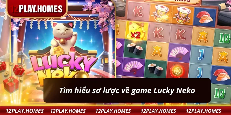 Khái quát về Lucky Neko năm 2025