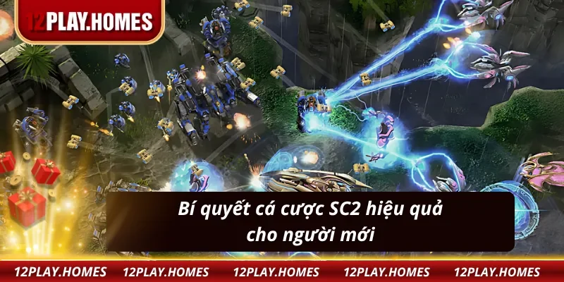                                         Truy cập dễ dàng nhanh chóng tại 12Play